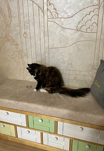 Фото покупателя, оценка 5 - 8